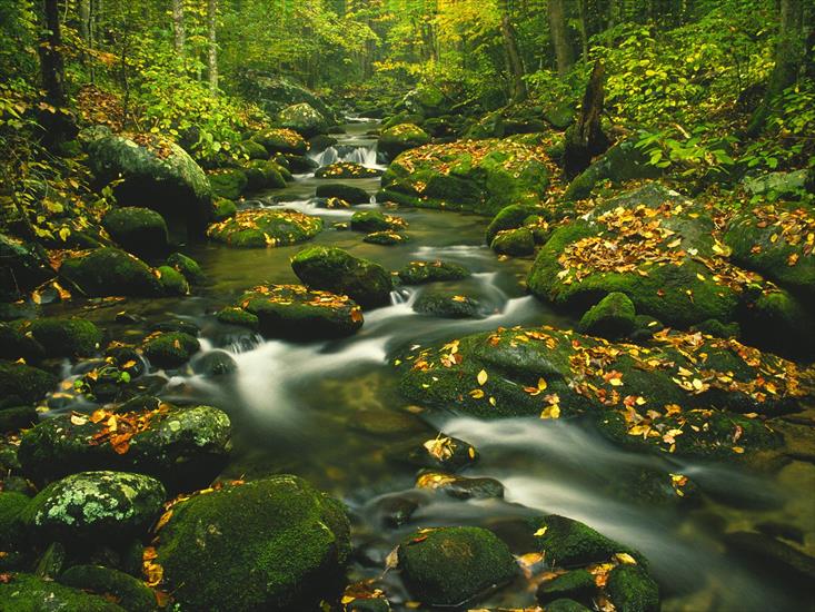 Krajobrazy - Roaring Fork, Timed Exposure, Great Smoky Mountains, Tennessee.jpg