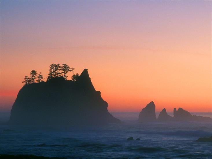 Plaże - Point of the Arches, Sea Stacks, Olympic Nationa.jpg