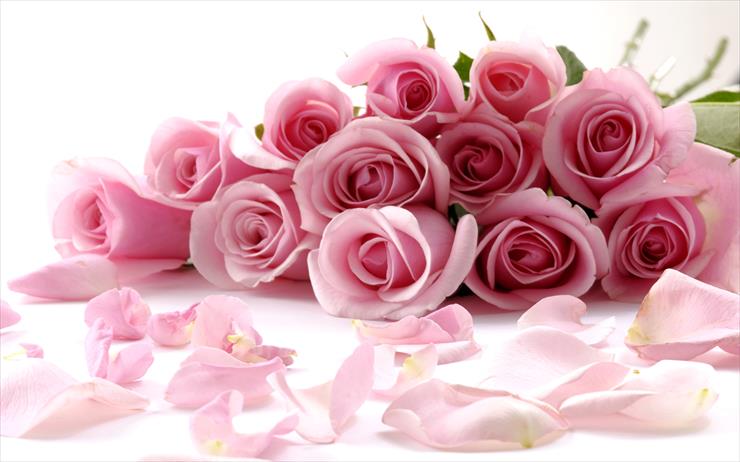 Roses Full HD Wallpapers 2560 X 1600 - Rose_010006.jpg