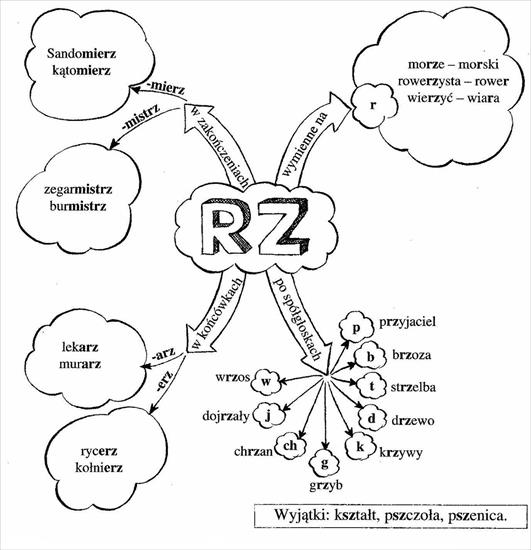 różne ćwiczenia ortograficzne - rz.jpg