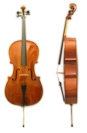 Instrumenty muzyczne1 - wiolonczela.bmp