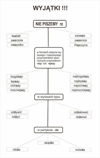 ortografia - wyjątki.jpg