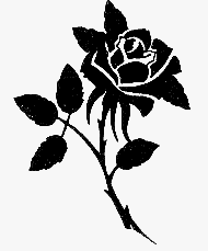 CZARNO-BIAŁE - black rose.gif